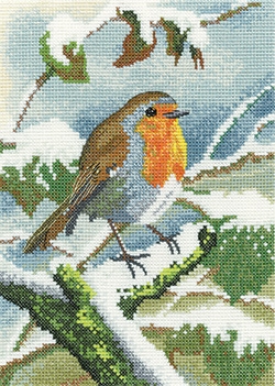 Robin in Winter - Nigel Artingstall Wildlife